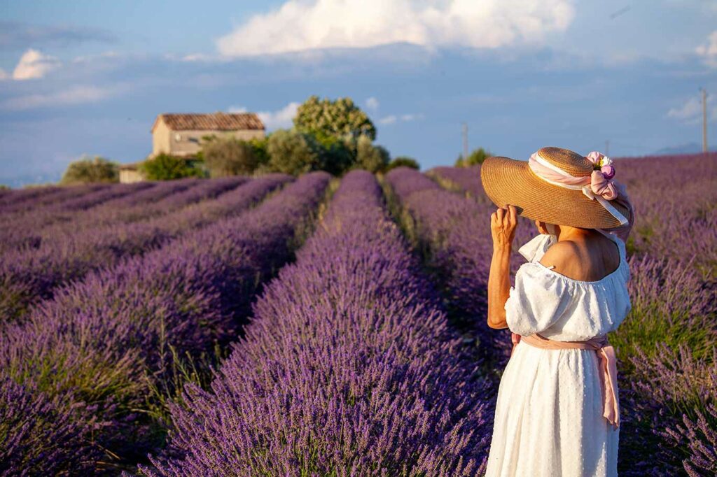 Lavender fields, France tours