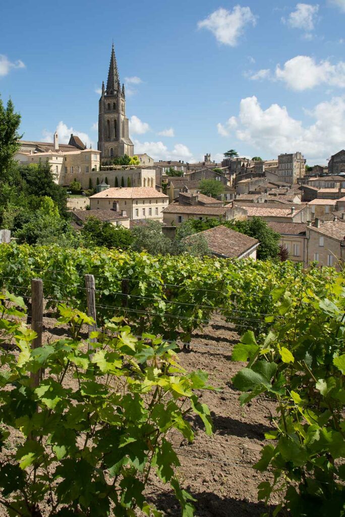 Vineyards at Saint Emilion city center, France_