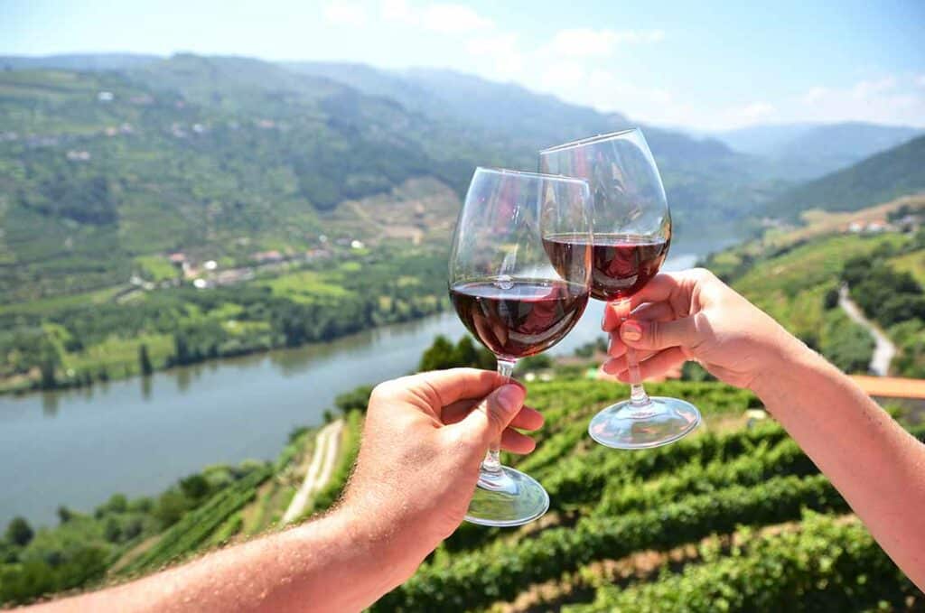 Porto Douro Valley Excursion Wine