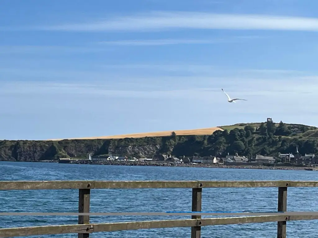 Stonehaven by the coast